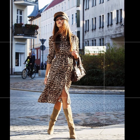 Instagram favorite Animal print dress - Picture 3 of 7